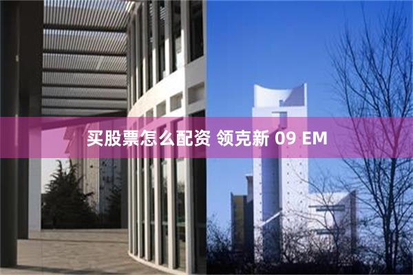 买股票怎么配资 领克新 09 EM