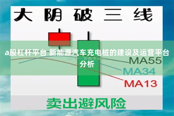 a股杠杆平台 新能源汽车充电桩的建设及运营平台分析