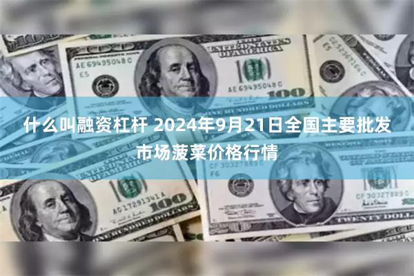 什么叫融资杠杆 2024年9月21日全国主要批发市场菠菜价格行情