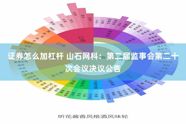 证券怎么加杠杆 山石网科：第二届监事会第二十次会议决议公告