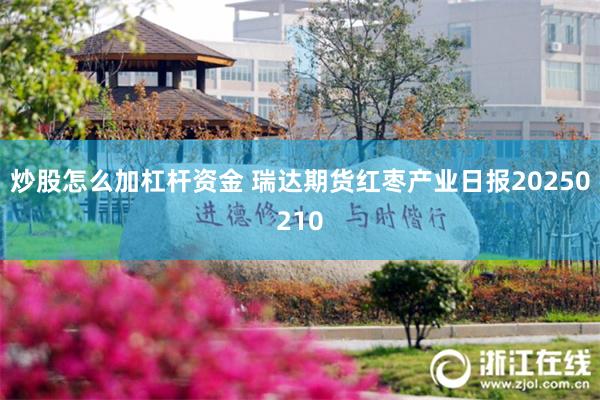 炒股怎么加杠杆资金 瑞达期货红枣产业日报20250210