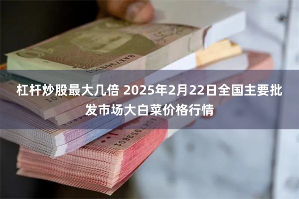 杠杆炒股最大几倍 2025年2月22日全国主要批发市场大白菜价格行情