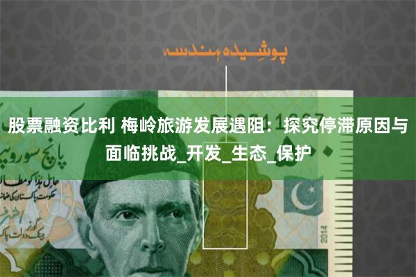 股票融资比利 梅岭旅游发展遇阻：探究停滞原因与面临挑战_开发_生态_保护